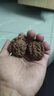 青皮核桃文玩核桃手把件带运气开三菱南疆石蛤蟆头平谷元宝大粗筋 官帽四座楼青皮核桃50-54mm 4个 实拍图
