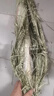 6411工兵镐G102小镐十字镐鹤嘴锄洋镐冰镐园艺锄镐救援工具户外大镐 G102小号钢镐 实拍图