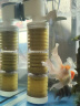 SOBO松宝 鱼缸过滤器三合一过滤增氧泵养鱼龟缸鱼缸内置过滤器材料 30W适合150以下鱼缸3300C 实拍图