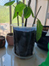 德沃多肥料控根透明花盆16(含托)*6个园艺绿植盆栽种植盆花卉种菜多肉塑料盆 实拍图