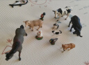 babycare&bctoys动物玩具动物桶熊猫老虎狮子长颈鹿模型玩具 实拍图