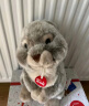 TRUDI野兔Lino兔子毛绒玩具公仔兔兔玩偶生日礼物情人节礼物送女友27cm 晒单实拍图