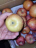 京鲜惠 洛川红富士苹果 24枚 单果170g+ 新鲜苹果水果生鲜陕西年货礼盒 晒单实拍图