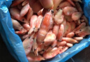 美加佳大号头籽北极甜虾1.5kg 80-100只/kg 头籽率80% 熟冻甜虾23年新货 实拍图