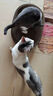 超大猫窝猫抓板一体耐磨不易掉屑猫咪窝磨爪耐抓保护沙发防猫抓圆形猫爪盆猫玩具 超特大号+六件套椭圆48*34 实拍图