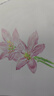 蒙玛特(Mont Marte)彩铅纸32k 彩色铅笔画纸加厚180g彩铅笔绘画纸套装 美术儿童素描画画纸MSB0165CN 速写 马克笔绘画 实拍图