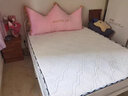 XI ZHI SHENG简约现代铁艺床公主床欧式双人床民宿学生公寓铁架床网红猫耳床 少女粉【床架款】加粗加厚 1500mm*2000mm 实拍图