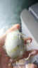 荆八宝 咸鸭蛋熟 大蛋黄红心起沙流油 农家散养鸭蛋盐蛋 生鲜 真空装 6枚大蛋（50-60g）试吃装 实拍图
