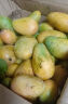 正宗小台芒农芒果 现摘小台应季热带水果特产果 大果单果重70-150g 9斤（净重8.5斤） 晒单实拍图