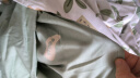 雅鹿·自由自在 A类床上四件套纯棉100%全棉夏季床单被套200*230cm 薄荷 实拍图