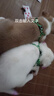 【京东物流】宠物牵引绳猫咪狗狗兔牵引绳宠物外出遛狗可爱耐用 宠物牵引绳-混色2个 实拍图
