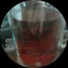 AKBAR阿卡巴 斯里兰卡进口锡兰红茶叶 英式独立茶包袋下午茶2g*100包 实拍图