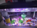 鹦鹦怪鱼缸客厅塑料中小型金鱼缸亚克力生态缸斗鱼缸家用新款智能溪流缸 35黑色专业套餐（彩灯+过滤增氧二合一） 实拍图