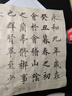太阳能户外庭院灯家用花园布置防水楼梯台阶灯围墙栏杆装饰灯 黑壳款/暖光4个 实拍图