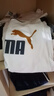 彪马（PUMA）t恤男 25夏季新款运动服大logo舒适透气纯棉上衣半袖短袖t恤男 691341-04/气质灰/100%纯棉 M 175【推荐体重120-140斤】 实拍图