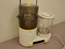 海尔恒温水壶婴儿奶瓶消毒器带烘干调奶温冲泡奶二合一体机暖奶多合一 实拍图