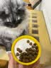 中鲨宠物胶原蛋白卵磷脂猫犬通用美毛养护毛发护肤狗狗猫咪保健营养品 胶原蛋白卵磷脂 280G1罐 实拍图
