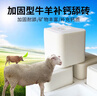 华畜牛羊舔砖盐砖羊用牛用饲料添加剂兽用营养加固型微量元素异食癖 补钙舔砖20kg/箱 实拍图