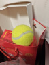 ENPEX乐士三只装网球 业余娱乐练习款 实拍图