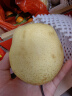 远达（YUANDA）赵县正宗雪花梨冰糖雪梨新鲜水果梨子大果整箱熬汤特产 礼盒装约9斤 实拍图