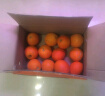 集南鲜 赣南脐橙 江西橙子新鲜现摘水果脐橙时令生鲜水果甜橙 水果礼盒 【特级橙】彩10斤（200-300g）荐 晒单实拍图