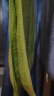 最生活新疆长绒棉密封毛巾 轻柔系列纯棉吸水洗脸巾5条装白/绿/蓝/紫/橘 实拍图