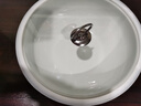 赣景景德镇陶瓷和面盆加厚有盖不沾发面揉面盆大号青花酸菜鱼水煮鱼碗 青花牡丹小号直径30cm带玻璃盖 实拍图