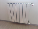 圣劳伦斯暖气片家用水暖铜铝水暖气片集中散热自采暖定制散热器 铜铝至尊9090三柱起订 180cm*1柱 实拍图