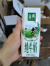 伊利金典纯牛奶整箱 250ml*16盒 3.6g乳蛋白 早餐伴侣 实拍图