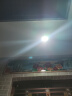 德力西（DELIXI）露营营地灯投光灯 户外灯IP65防水 庭院灯室外灯 厂房天棚路灯 50W-冷白光【适用50平】 实拍图