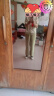 卡伊芙中老年女装妈妈装夏装套装洋气50岁60夏季新中式国风老年人衣服 浅绿色套装 XL 建议90-105斤 晒单实拍图