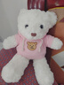 秘恋小熊公仔玩偶布娃娃毛绒玩具情侣生日礼物送闺蜜女朋友情人节元旦 白熊粉卫衣+礼袋+串灯+红玫瑰花 38厘米 实拍图