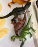爸爸妈妈 儿童恐龙玩具软胶恐龙模型恐龙世界侏罗纪霸王龙6只套装宝宝动物仿真模型玩具大号男孩3-6岁礼物 实拍图