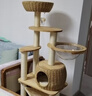 迦宠实木猫爬架猫窝猫树一体立式剑麻编筐太空舱猫架子不占地猫玩具 81004S肥猫专用【实木+剑麻柱】 实拍图