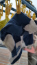 猫人10双装男士袜子男夏季中筒袜棉袜男休闲棉袜运动篮球袜男潮袜 晒单实拍图