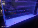 汉霸超白玻璃鱼缸 生态底滤循环系统 鱼缸客厅 家用智能懒人 水族箱 金+黑 屏风150x52x160cm 实拍图