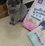 优基（YJ）生骨肉蛋黄冻干猫粮幼猫离乳期无谷英短蓝猫猫小猫猫饭益生菌营养 1.5kg幼猫粮 实拍图