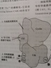 系统解剖学第9版 九版人卫本科临床医学教材细胞生物化学生理病理诊断外科儿科内科学第十版传染病病人民卫生出版社考研图书 实拍图