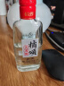 橘颂酒业苦荞酒小乔 42%vol 125mL 1瓶 实拍图