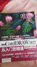 中文版CorelDRAW 2022从入门到精通（微课视频 全彩版）CDR教程书籍cdr新手入门coreldraw完全自学教程 平面设计图形设计图像后期排版插图设计标志设计UI/VI设计 实拍图