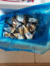 贝司令乳山生蚝鲜活牡蛎海鲜特产贝类露营烧烤食材 XL净重4斤16-22只 实拍图