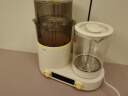 海尔恒温水壶婴儿奶瓶消毒器带烘干调奶温冲泡奶二合一体机暖奶多合一 实拍图