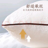 远梦枕头 幽香决明子抒睡枕硬枕成人枕头双人枕芯单只装 一只装 45×70CM 实拍图