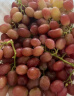 京鲜生 国产红提 葡萄 500g装 新鲜水果 实拍图