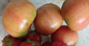 京地达栗贝诺山东铁皮草莓西红柿 绿腚碱地水果番茄精选3斤装源头直发 实拍图