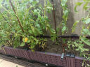 原起点阳台楼顶种菜箱长方形蔬菜种植箱神器种菜盆菜箱塑料花箱户外 常用5联箱 250*40*22cm 实拍图