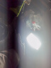 德力西（DELIXI）LED投光灯球场户外灯防水投射灯庭院灯室外灯照明灯球馆厂房路灯 6500K 冷白光 100W 晒单实拍图