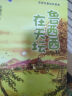 郑渊洁童话四部曲（套装共4册）鲁西西在天坛+皮皮鲁和金鱼王子+皮皮鲁的魔袜+真假舒克 实拍图