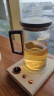 鑫尚铭 月牙玻璃绿茶公道杯耐高温一体式过滤泡茶杯茶水分离功夫茶具 望凌壶550ML 实拍图
