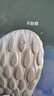 迈乐（Merrell）迈乐洞洞鞋HYDRO MOC BLOOM 